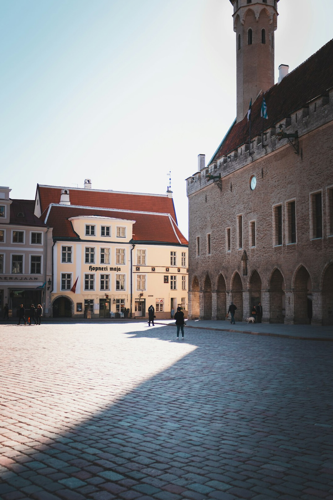 city landscape with town hall