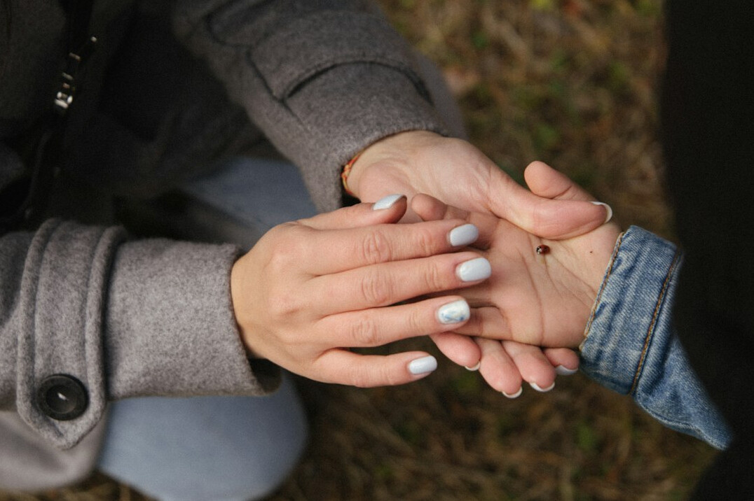 Two business partners shaking hands in an office